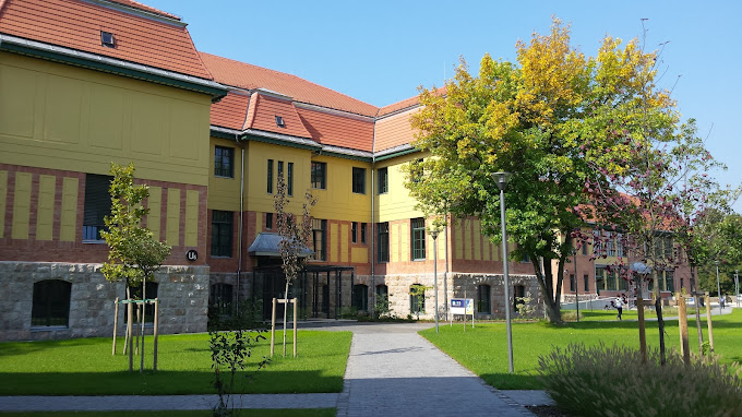 IBS International Business School