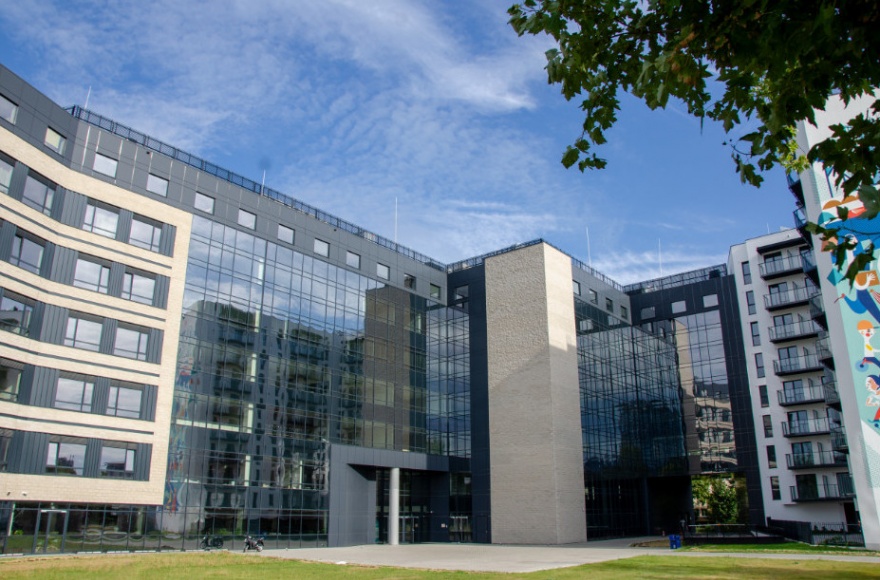 Vizja University